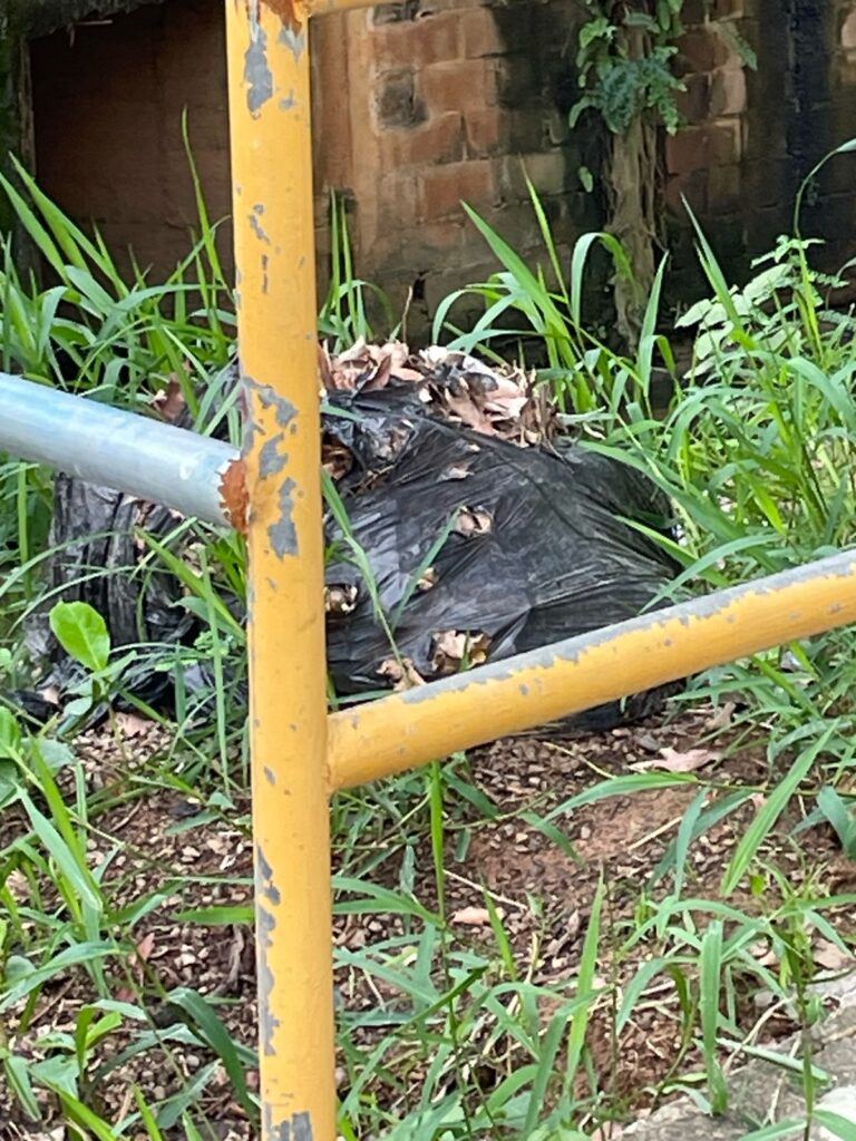 6-768x1024 Do Lado de Fora do Latão: Quando a Boa Vizinhança Não Faz Parte da Rotina
