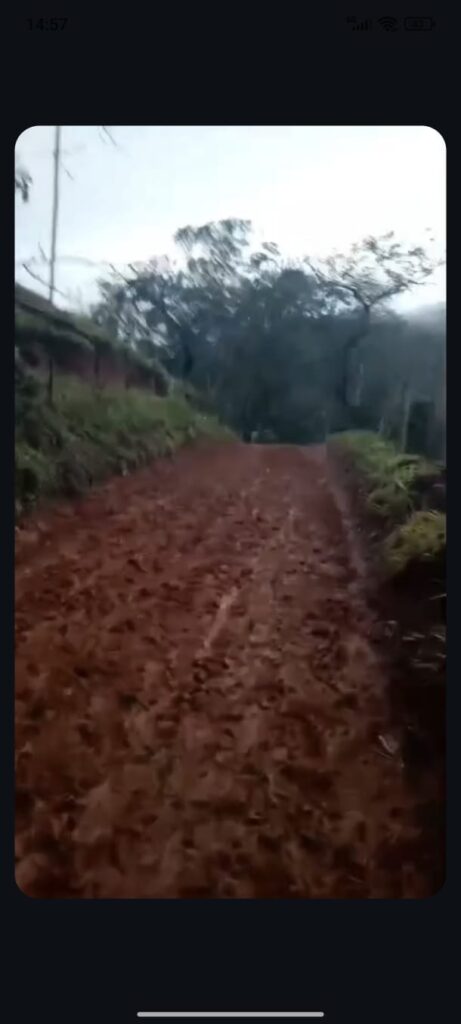 13-2-461x1024 Enquanto o Prefeito Brinca de TikToker, o Povo Sofre Sem Estrada, Remédio e Transporte
