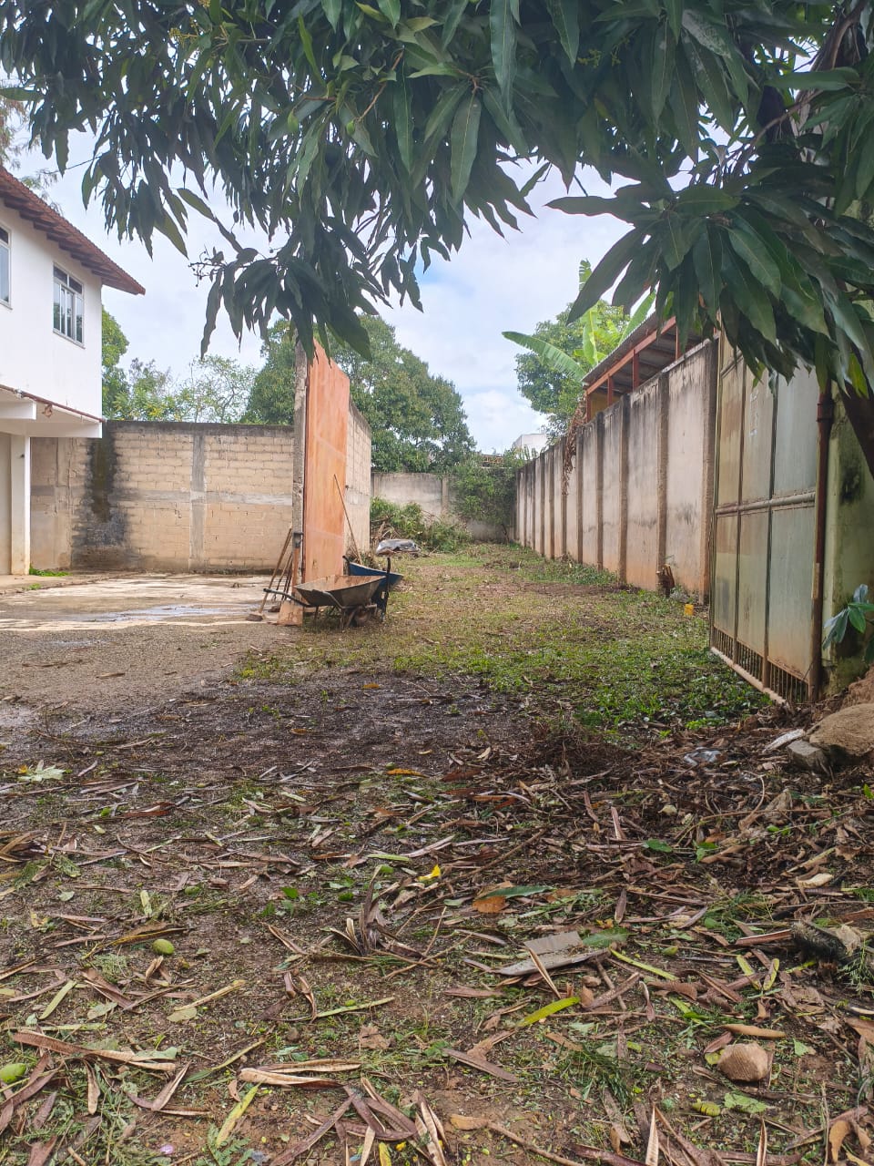 8 Operação “Limpa Pátio”: Manobras da Prefeitura Tentam Esconder Escândalos de Gastos Públicos