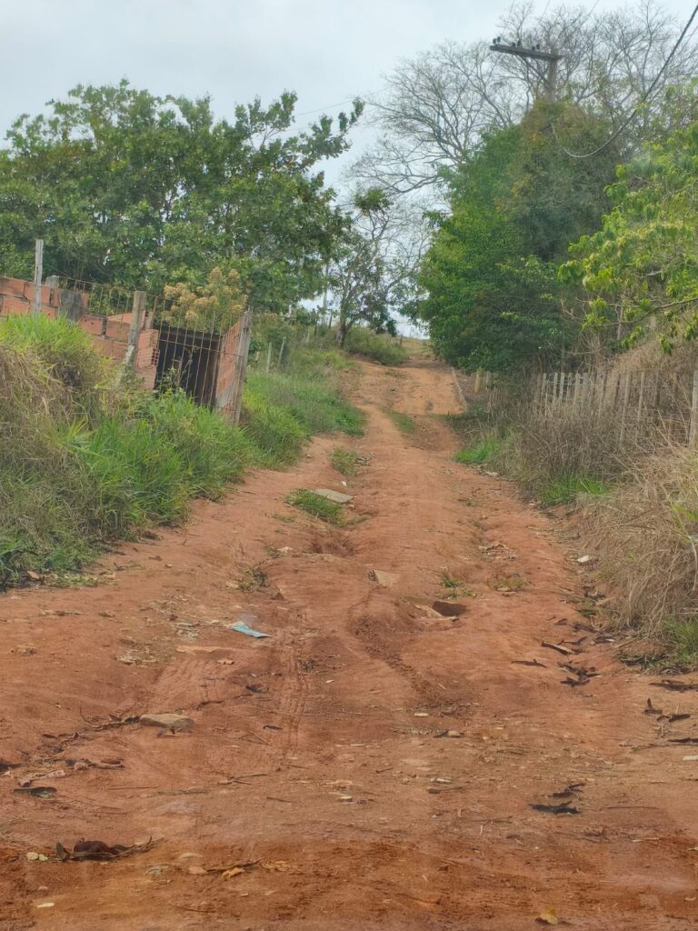 aeff8dbd-0acb-4e58-9cf4-6f7020139ef8-768x1024 Depois da Ponte da Insanidade, vem aí o Asfalto da Eleição