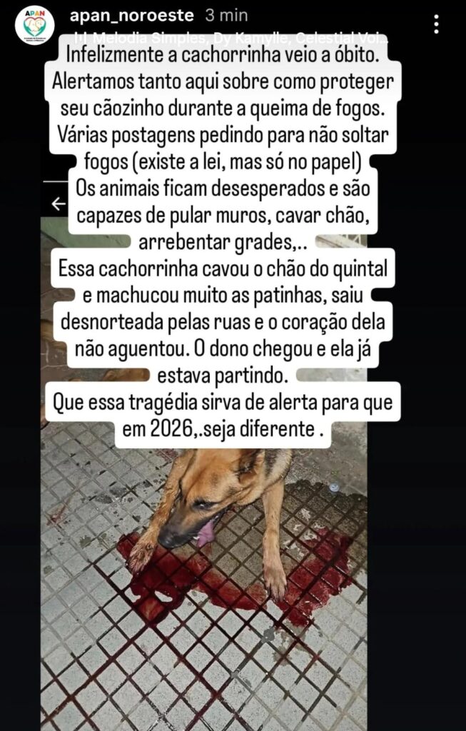WhatsApp-Image-2026-01-01-at-12.16.04-1-653x1024 Secretaria de Turismo Torra R$ 25 Mil em Fogos Barulhentos. A Lei Existe. A Fiscalização, Não.