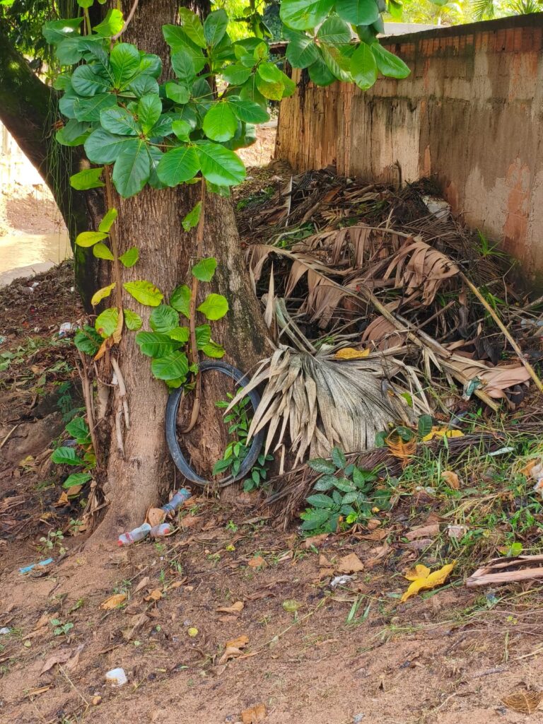 WhatsApp-Image-2026-01-26-at-08.01.29-1-768x1024 Programa Limpa Rio fazendo sua parte no Córrego Soledade, mas a população precisa colaborar