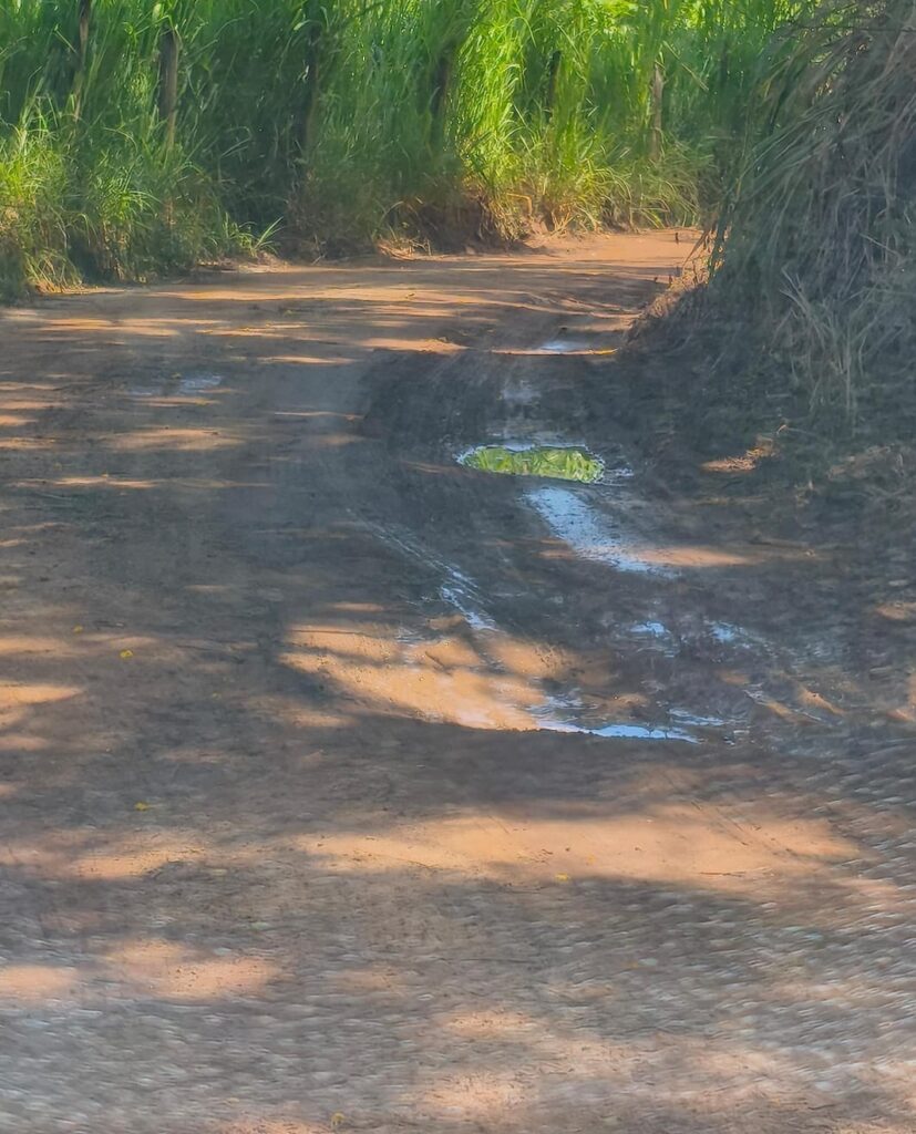 WhatsApp-Image-2026-03-24-at-07.37.52-2-827x1024 R$ 1,3 Milhão no Papel e Lama na Estrada: A Agricultura Que Só Funciona na Eleição