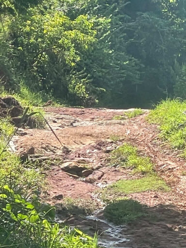 WhatsApp-Image-2026-03-28-at-15.37.46-1-768x1024 Sem Voto, Sem Patrol: Carabuçu Fica Para Depois