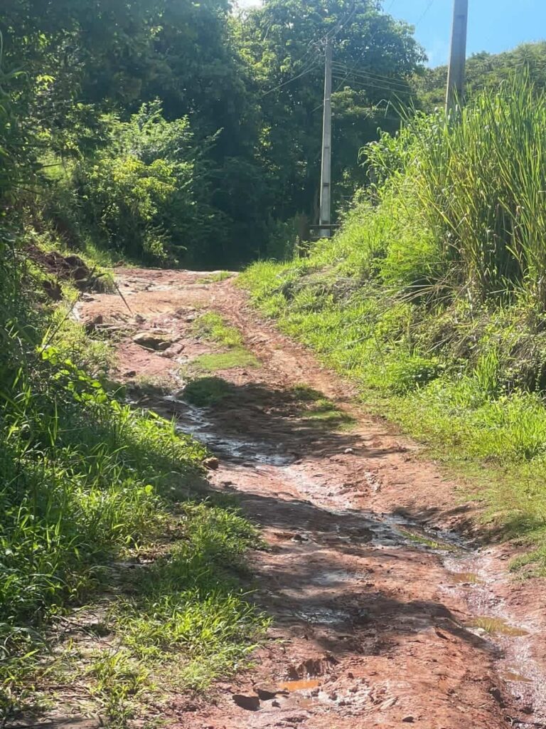 WhatsApp-Image-2026-03-28-at-15.37.46-2-768x1024 Sem Voto, Sem Patrol: Carabuçu Fica Para Depois