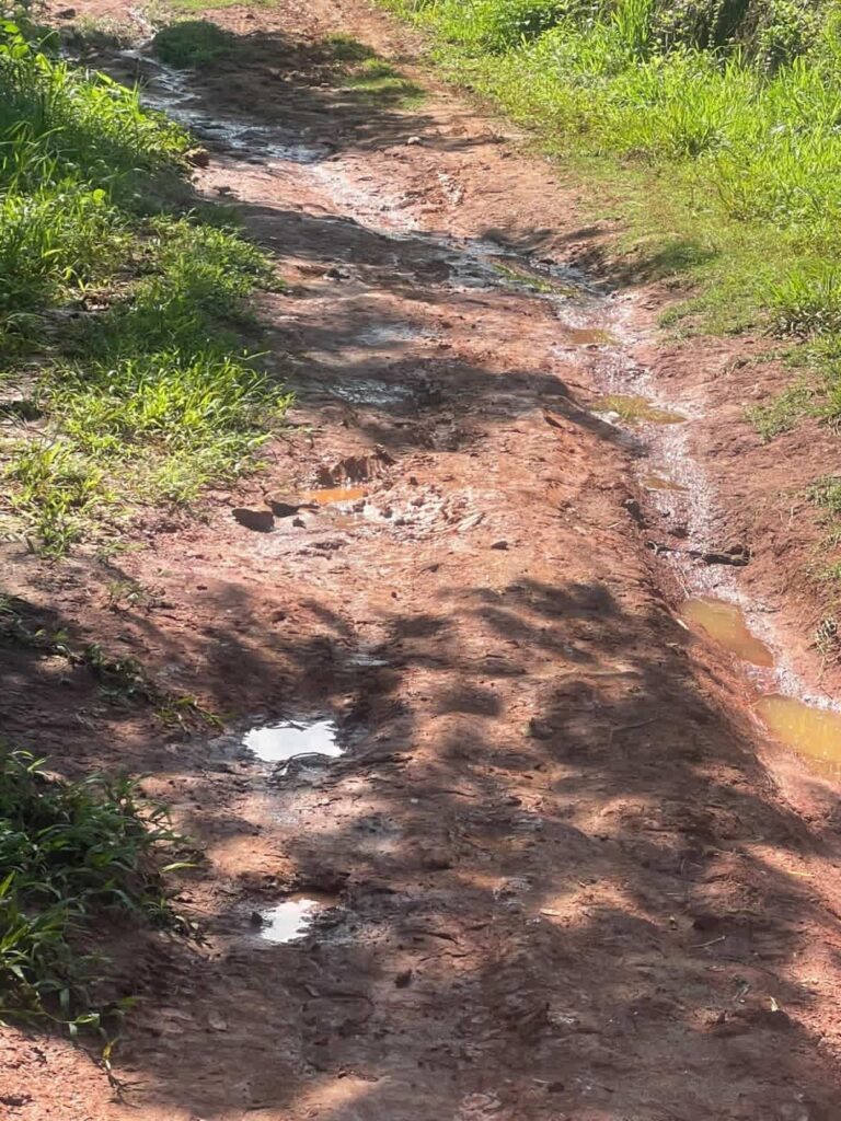 WhatsApp-Image-2026-03-28-at-15.37.46-3-768x1024 Sem Voto, Sem Patrol: Carabuçu Fica Para Depois