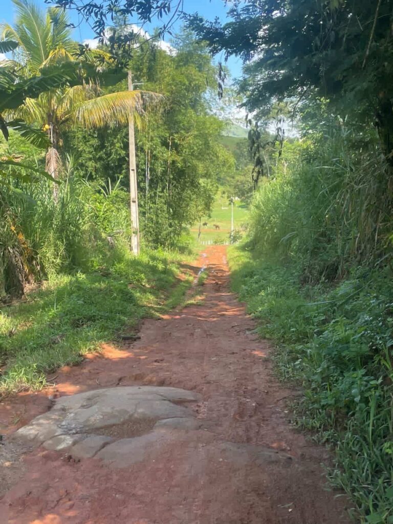 WhatsApp-Image-2026-03-28-at-15.37.46-768x1024 Sem Voto, Sem Patrol: Carabuçu Fica Para Depois