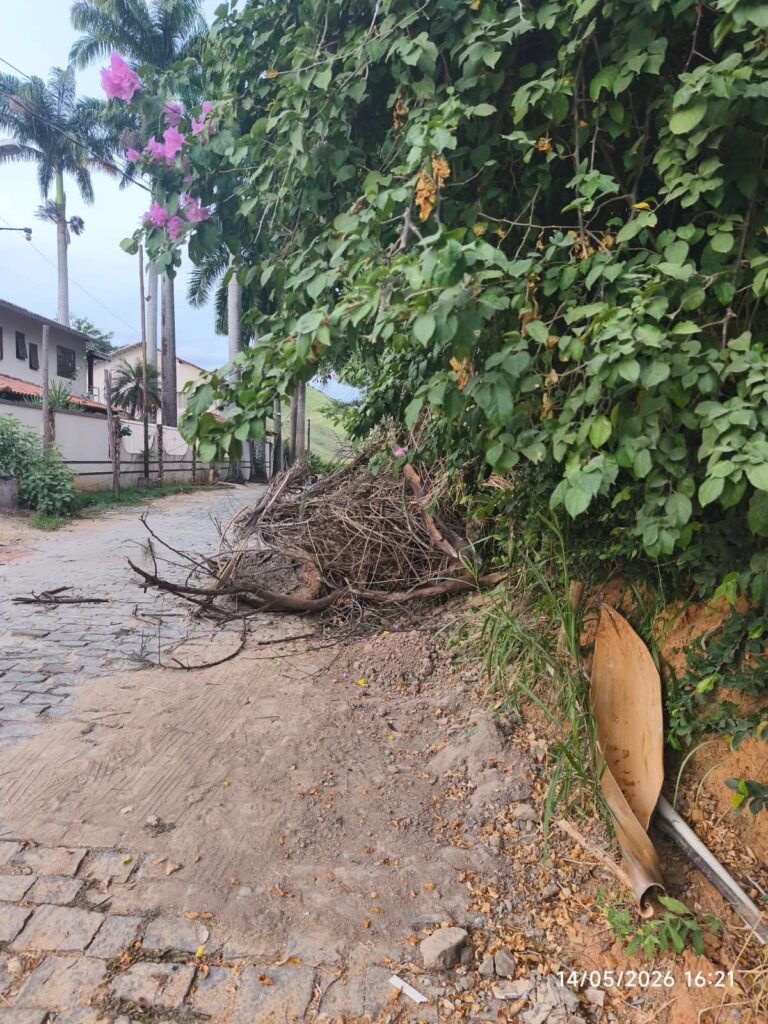 WhatsApp-Image-2026-05-15-at-19.19.32-1-768x1024 Abandono em Bom Jesus do Norte Revolta Moradores e Caso Deve Chegar ao Ministério Público