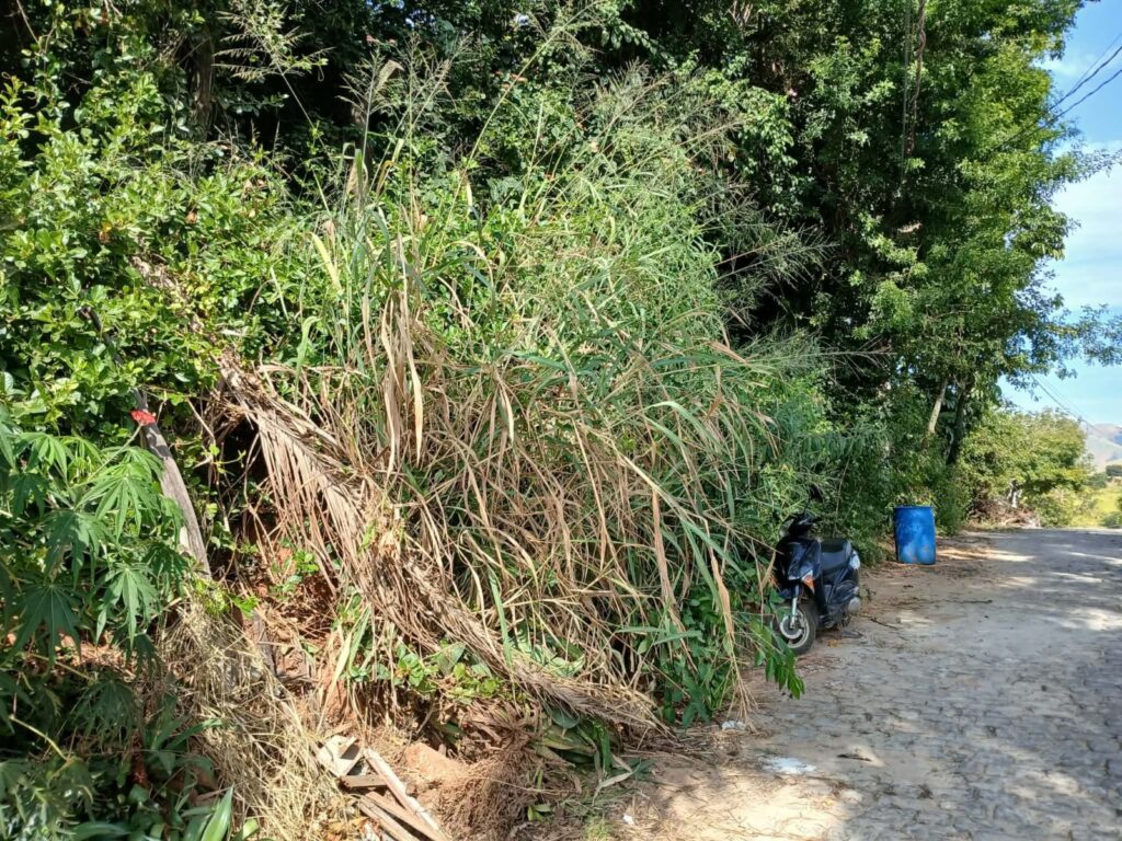 WhatsApp-Image-2026-05-15-at-19.19.33-1-1024x768 Abandono em Bom Jesus do Norte Revolta Moradores e Caso Deve Chegar ao Ministério Público