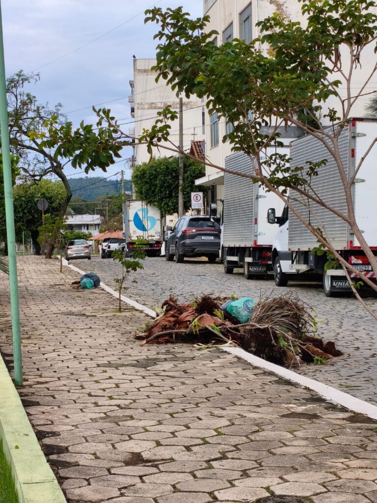WhatsApp-Image-2026-10-04-at-09.05.38-768x1024 O lixão cativo da Praça Otacílio Moraes Borges: todos os dias, os mesmos tipos de lixo doméstico no mesmo lugar
