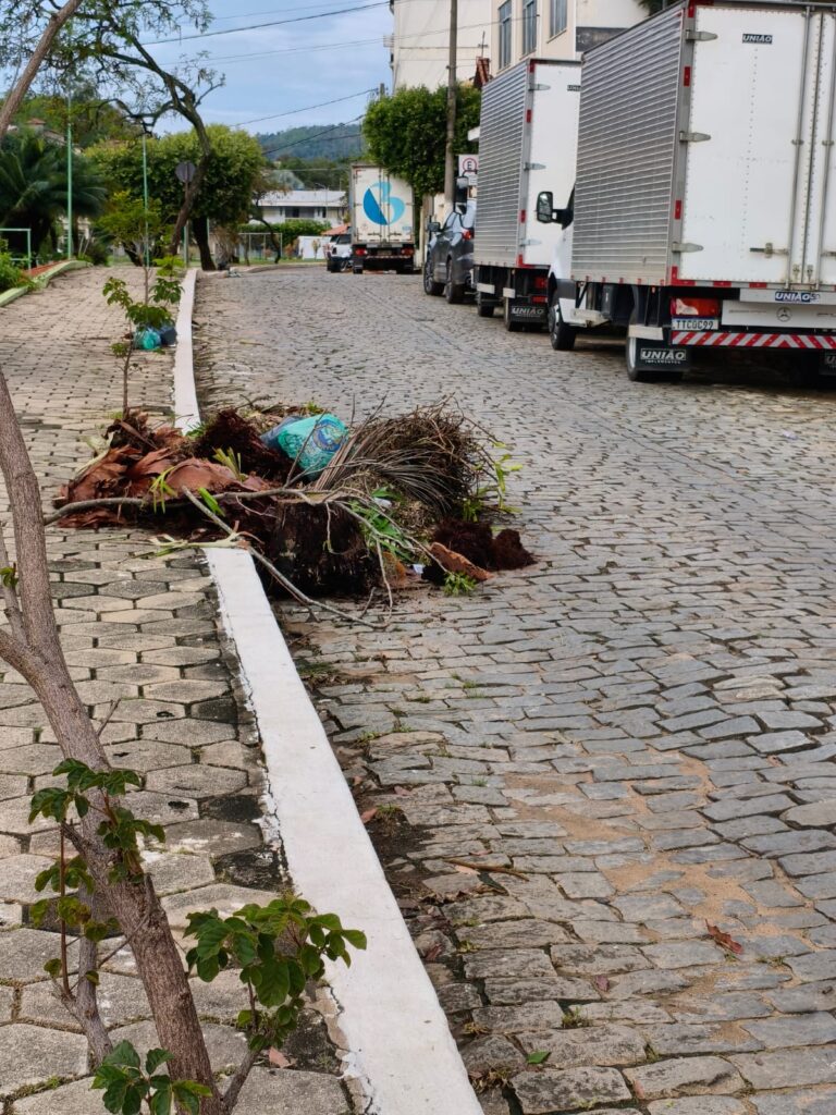 WhatsApp-Image-2026-10-04-at-09.05.39-768x1024 O lixão cativo da Praça Otacílio Moraes Borges: todos os dias, os mesmos tipos de lixo doméstico no mesmo lugar