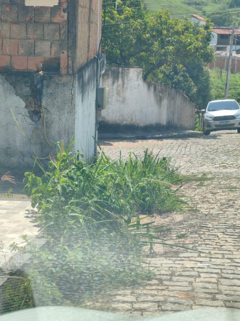 WhatsApp-Image-2026-10-06-at-11.23.01-768x1024 